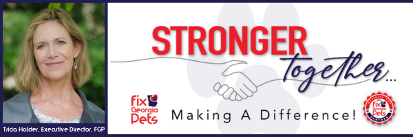 FGP Newsletter Banner (5)