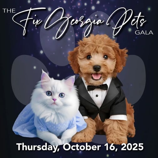FGP-gala-2025-website-ad