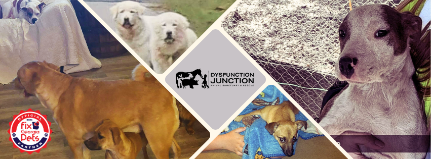 Fix-Georgia-Pets-Partner-Spotlight-Dysfunction-Junction