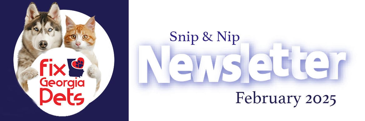 Fix-Georgia-Pets-Snip&Nip-Newsletter