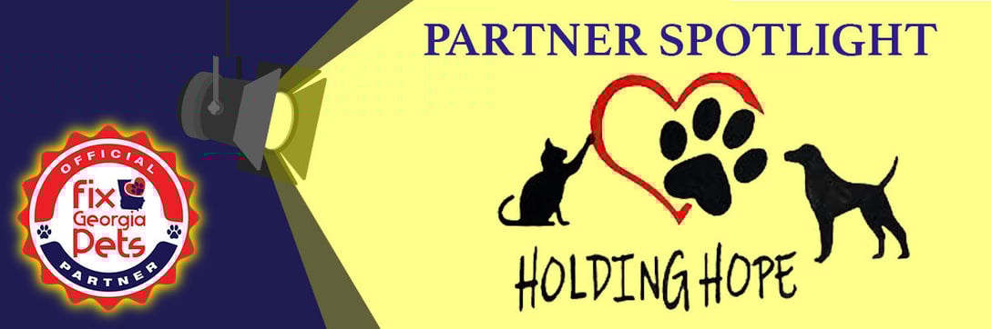 Fix-Georgia-pets-partner-spotlight