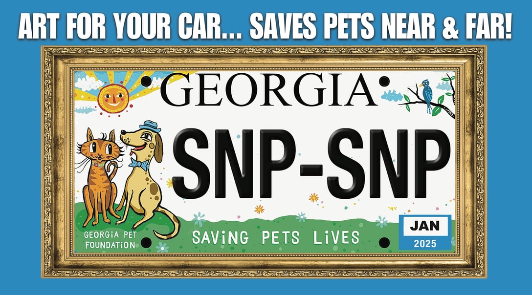 GPF license plate direct mail postcard front