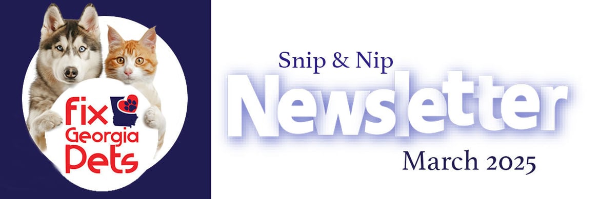 March-snip-and-nip-newsletter-header