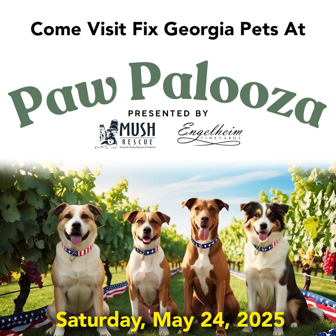 Fix Georgia Pets at Paw Palooza 2025