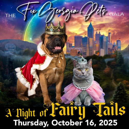 Fix Georgia Pets Fairy Tails Gala