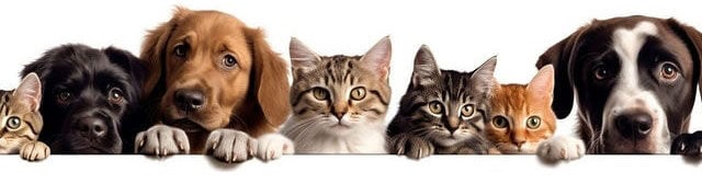 dogs-cats-spay-neuter