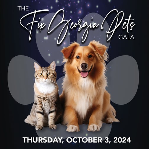 newsletter-fix-ga-pets-gala